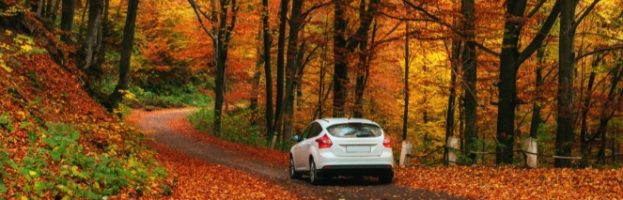 Care for Your Car this Autumn